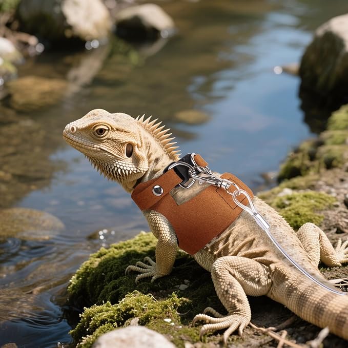 Brown Bearded Dragon Leash and Harness Set, 3 Size Easy Walk Bearded Dragon Harness, Adjustable Traction Rope Ferret Harness and Leash Set Cat Rat Accessories Stuff for Squirrel