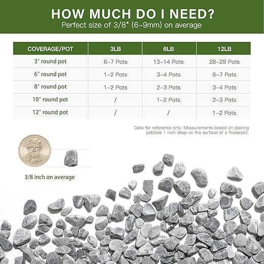 NUPICK 3 lbs Pebbles for Indoor Plants, 3/8 Inch Pea Gravel for Fish Tank, Decorative Rocks for Succulent, Natural River Stones for Vases, Cactus, Landscaping, Bird Bath, Aquarium, Grey