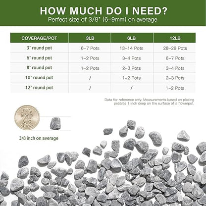 NUPICK 12 lbs Pebbles for Indoor Plants, 3/8 Inch Pea Gravel for Fish Tank, Decorative Rocks for Succulent, Natural River Stones for Vases, Cactus, Landscaping, Bird Bath, Aquarium, Grey