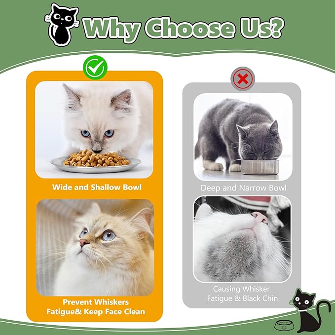 Stainless Steel Cat Bowls Set – 6.7" Whisker Friendly Shallow Dishes, Dishwasher Safe Food & Water Plates for Indoor/Outdoor Cats, 13oz (SUS304, 1Pc)