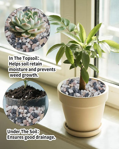 3LB Succulent & Cactus Gravel Pebbles,1/4-3/8 Inch Natural Polished River Rocks Decorative Stones for Succulent Planters,Cactus Pots,Vases,Aquariums,Outdoor Gardening Mixed Colors