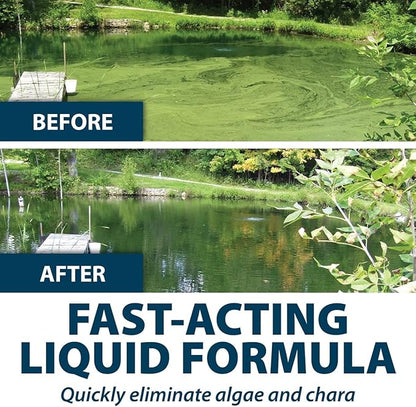 Airmax Algae Defense, EPA Registered Algaecide Pond & Lake Water Treatment, Floating Moss, Green Slime Scum & Chara Killer for Large Ponds & Lakes, Outdoor Liquid Spray Copper Based Solution, 1 Gallon