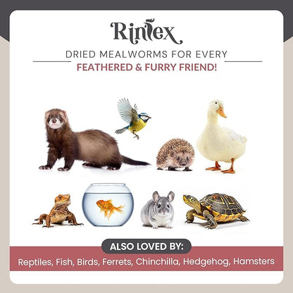 Dried Mealworms 1 lb - Chicken Food for Laying Hens - Bird Seed for Wild Birds - Wild Rabbit Food Outdoor - Duck Treats for Pet Ducks - Turtle Food for Small Turtles - Parrots Food, Snail Food