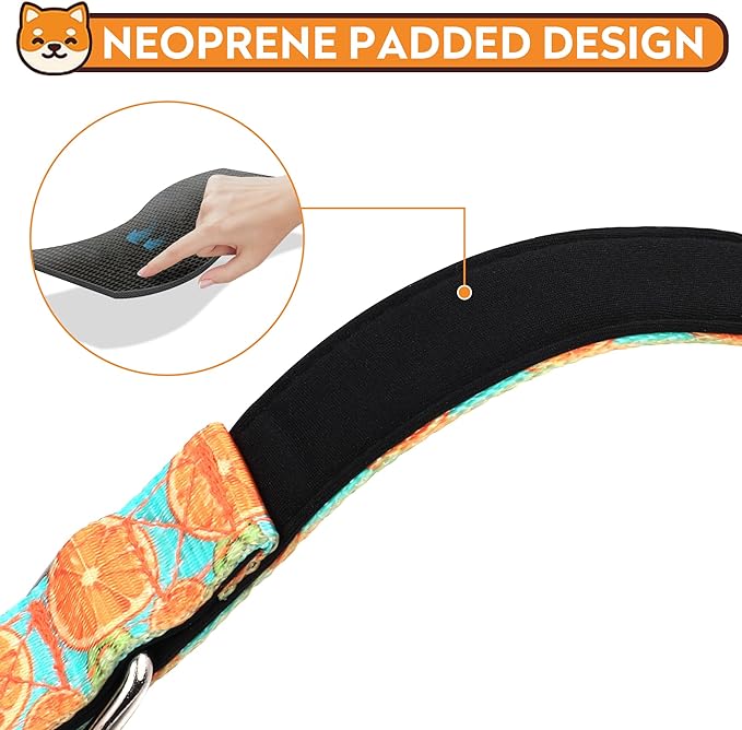 Reflective Dog Collar, Adjustable Soft Neoprene Padded Nylon Pet Collars with Buckle for Puppy and Small Dogs, Cats, Summer Lemon,S