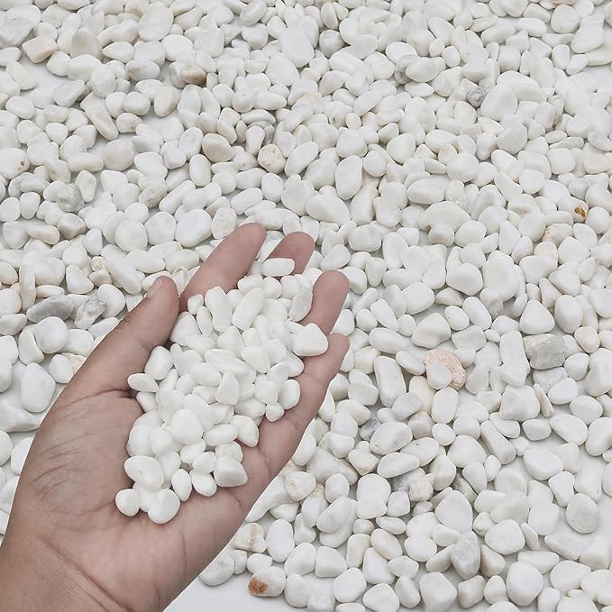 6LB White Succulent & Cactus Gravel Pebbles - 1/4-3/8 Inch Natural Polished River Rocks, Decorative Stones for Plants, Terrariums, Vases, Aquariums & Outdoor Gardening