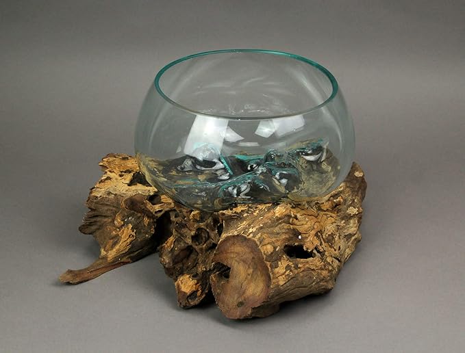 Things2Die4 Blown Melted Glass Decorative Bowl Mini Terrarium On Teak Driftwood Base,Brown