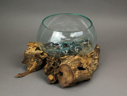 Things2Die4 Blown Melted Glass Decorative Bowl Mini Terrarium On Teak Driftwood Base,Brown