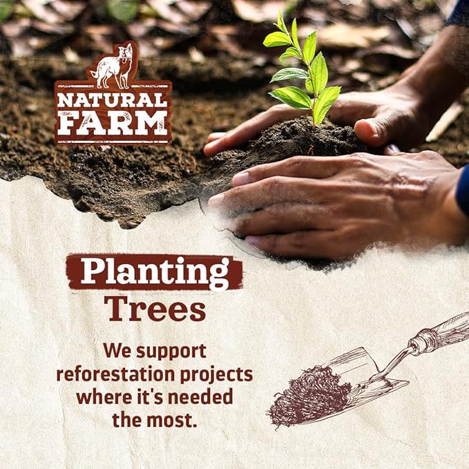 Natural Farm Odor-Free Bully Sticks (6 Inch, 25 count),1.3 lb. Bag, Fully Digestible 100% Beef Pizzle Chews,Grass-Fed, Non-GMO,Grain-Free, Natural Long-Lasting Chews for Small & Large Dogs. Pack of 25