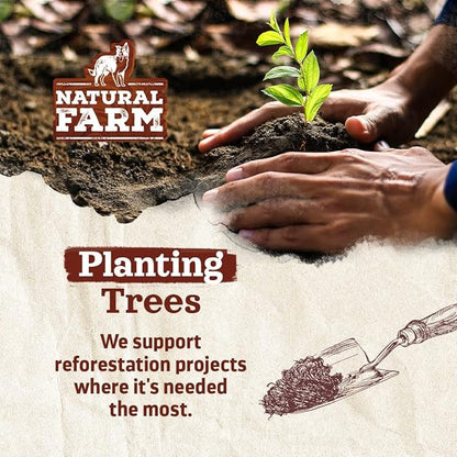 Natural Farm Odor-Free Bully Sticks (6 Inch, 25 count),1.3 lb. Bag, Fully Digestible 100% Beef Pizzle Chews,Grass-Fed, Non-GMO,Grain-Free, Natural Long-Lasting Chews for Small & Large Dogs. Pack of 25