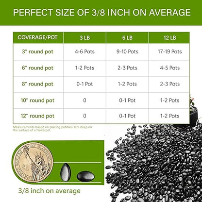 NUPICK 12lb River Rocks for Plants Indoor, 3/8 Inch Black Pebbles for Vases Fillers, Decorative Pea Gravel for Fish Tank, Natural Polished Stones for Succulent, Bonsai, Landscaping, Bird Baths