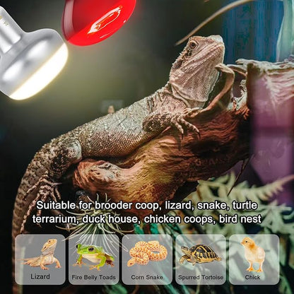 Reptile Heat Lamp Bulb 75W, 2-in-1 Day & Night Combo, Infrared Heat Lamp & UVA Sunlight Heating Lamp for Reptile Terrariums