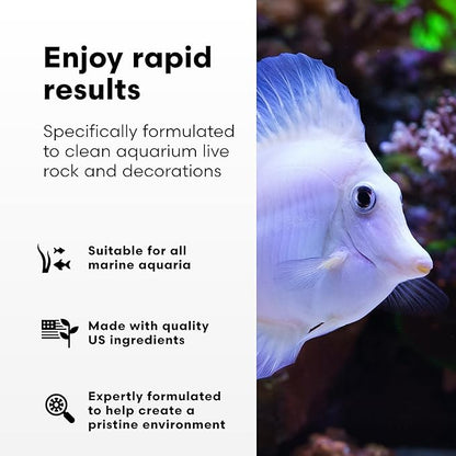 Brightwell Aquatics MicroBacter Clean - Microbial Culture & Enzyme Blend Fish Tank Cleaner - Cleans Live Rock Surfaces for Saltwater Fish Habitats - Aquarium Water Treatments, 8.45 fl oz