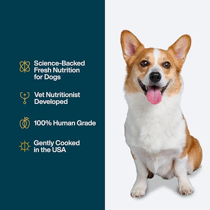 JustFoodForDogs JustFresh Home-Cooked Chicken and Beef Dog Food Variety Pack with No Preservatives, Resealable Packaging, Human Grade Wet Dog Food, 12 oz - 8 Pack