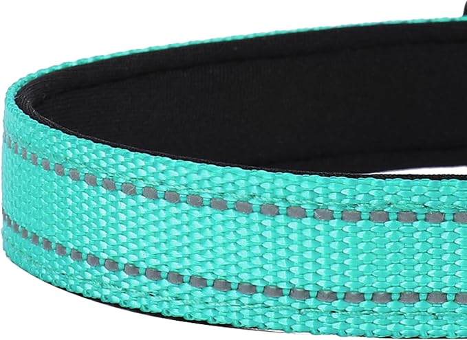 Reflective Dog Collar, Adjustable Soft Neoprene Padded Nylon Pet Collars with Buckle for Large Dogs, Teal,L