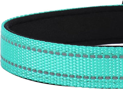 Reflective Dog Collar, Adjustable Soft Neoprene Padded Nylon Pet Collars with Buckle for Large Dogs, Teal,L