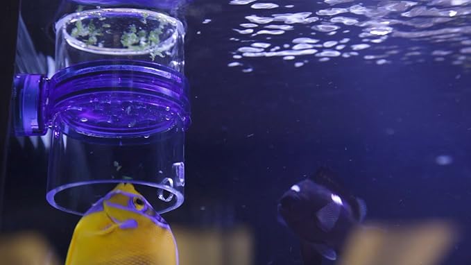 Innovative Marine Gourmet Gadget Defroster PRO - Adjustable Frozen Fish Food Feeder and Feeding Ring