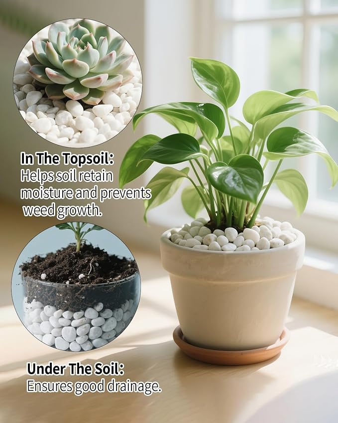 12LB White Succulent & Cactus Gravel Pebbles - 1/4-3/8 Inch Natural Polished River Rocks, Decorative Stones for Plants, Terrariums, Vases, Aquariums & Outdoor Gardening