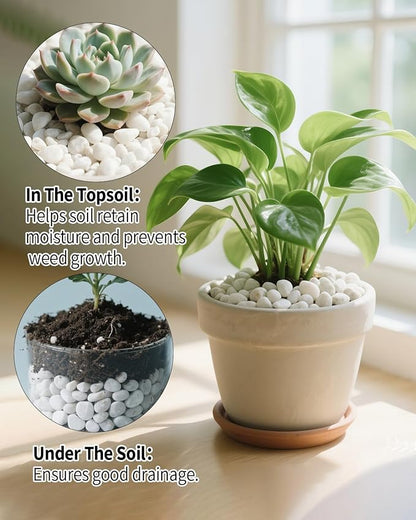 6LB White Succulent & Cactus Gravel Pebbles - 1/4-3/8 Inch Natural Polished River Rocks, Decorative Stones for Plants, Terrariums, Vases, Aquariums & Outdoor Gardening