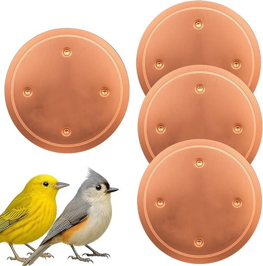 4 Pcs Copper Bird Bath Purification Disk, 0.6mm Reinforced 99.99% Pure Copper Bird Bath Cleaner for Indoor Outdoor Garden Backyard – 4” Diameter