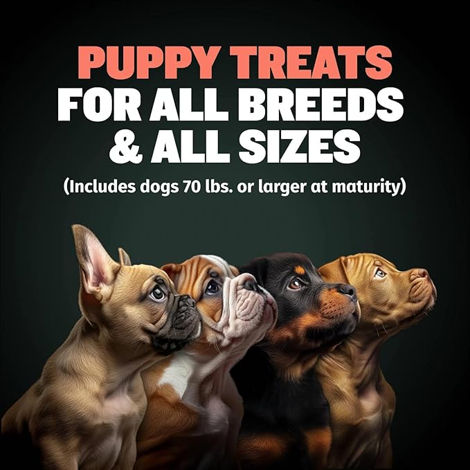 Bully Max Puppy Training Treats - Soft Chews Dog Food Supplements & Vitamins for Brain, Skin & Coat Health - Glucosamine & Chondroitin for Joint Support – Multivitamin Food Topper for Puppies - 1 Bag