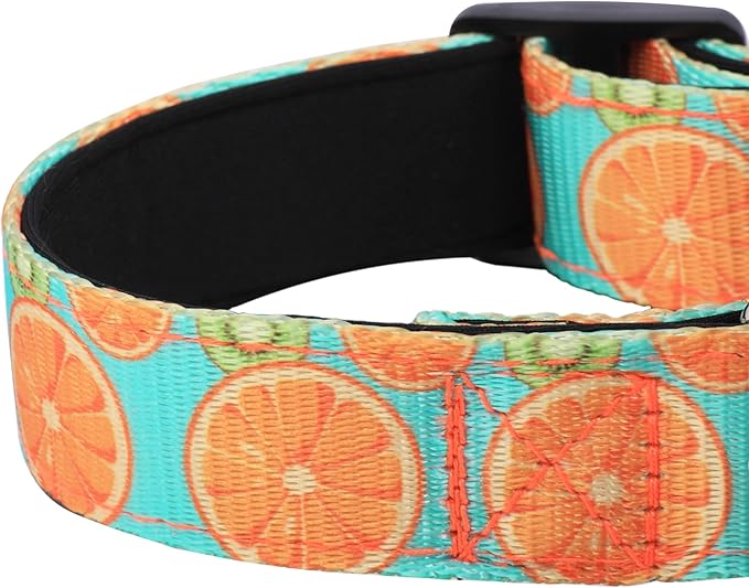 Reflective Dog Collar, Adjustable Soft Neoprene Padded Nylon Pet Collars with Buckle for Puppy and Small Dogs, Cats, Summer Lemon,XL