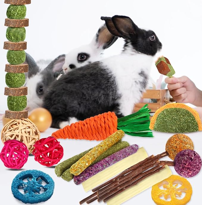 Rabbit & Guinea Pig Toys - Natural Timothy Hay & Apple Wood Sticks for Teeth Care - Handmade for Hamster, Bunny, Chinchilla (27 Pcs)