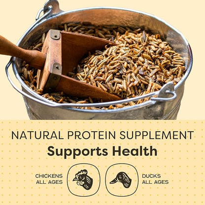 Scratch and Peck Grubs for Chickens and Ducks - 3.5 lbs Bag - Sustainably Sourced - Naturally High Protein, Calcium Dense - Dried Black Soldier Fly Larvae Bird Treats