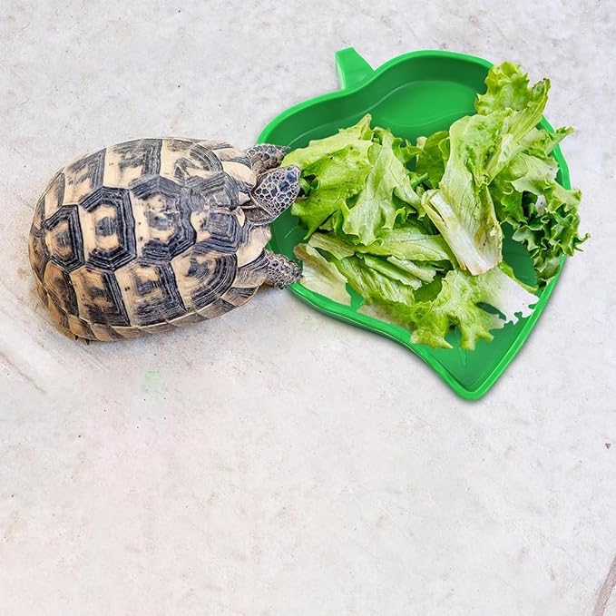 KABASI 2PCS Leaf Reptile Water Dish with Tweezers, Reptile Habitat Accessories Food Bowl, Pet Feeding Plate for Tortoise Corn Snake Bearded Dragon Snake Lizard Drinking and Eating, 2 Sizes