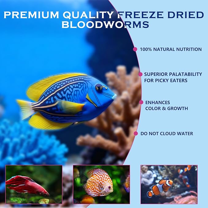 Freeze Dried Blood Worms Fish Food - High Protein Natural Aquatic Food for Tropical & Saltwater Fish, Betta, Goldfish, Cichlid, Guppy - Enhances Color & Growth 3.5 oz