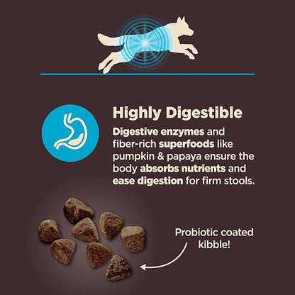 Wellness CORE Digestive Health Dry Dog Food, Wholesome Grains, Natural, Recipe for Dogs with Sensitive Stomachs, Whitefish & Brown Rice, (22-Pound Bag)