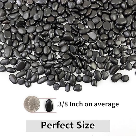 10LB Succulent and Cactus Black Pebbles, 3/8 Inch Natural Decorative Polished Stones, River Rocks for Indoor Plants, Vases, Planters and Outdoor Gardening