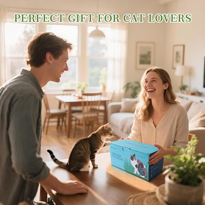5-Pack Cat Grass Kit for Indoor Cats with Wood Planter, Grow Organic Non-GMO Wheat Grass in 4-7 Days, Aids Digestion & Hairball Control, Ideal Birthday Gift for Cat Lovers