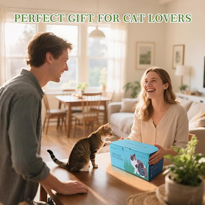 5-Pack Cat Grass Kit for Indoor Cats with Wood Planter, Grow Organic Non-GMO Wheat Grass in 4-7 Days, Aids Digestion & Hairball Control, Ideal Birthday Gift for Cat Lovers