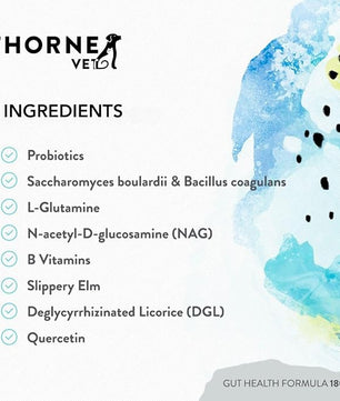 ThorneVET Gut Health Formula – Gastrointestinal Support for Dogs, Cats & Horses, 180 Scoops