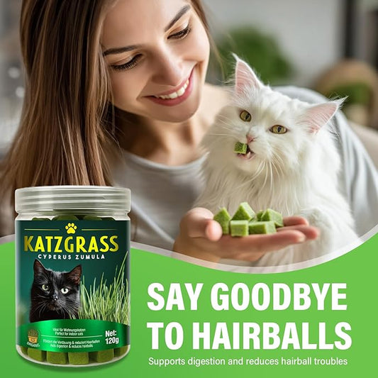 Cat Grass Treats, Natural & Health Cat Treats, Natural Hairball Relief & Teeth Cleaning Chews for Indoor Cats