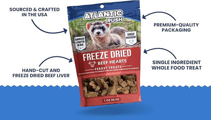 Freeze Dried Small Pet Treats - Resealable Bag of Treats for Ferrets - Ferret Snacks - Single Ingredient Ferret Food With No Preservatives Or Fillers- Small Animals Treats (1oz, Beef Heart)