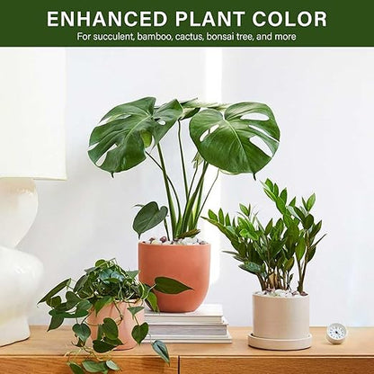 NUPICK 6 lbs Pebbles for Indoor Plants, 3/8 Inch Pea Gravel for Fish Tank, Polished Decorative Rocks for Succulent, Natural River Stones for Vases, Cactus, Landscaping, Bird Bath, Aquarium, Colorful