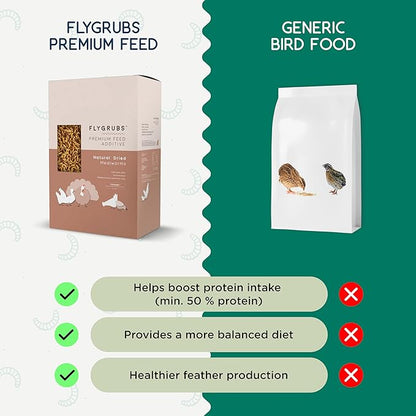 FLYGRUBS 20 lb Dried Black Soldier Fly Larvae – Superior to Mealworms for Chickens–85X More Calcium,Non-GMO,High-Protein Feed & Molting Supplement for Hens, Ducks, Turkeys, Wild Birds, Quails, Turtles