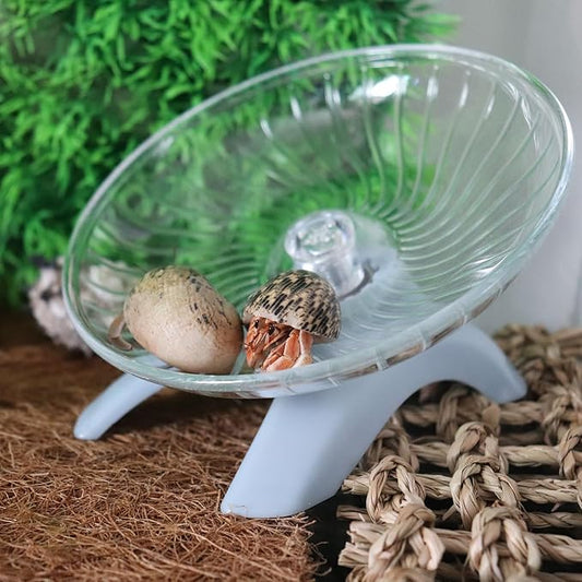 Hermit Crabs Wheel Toy, Hamster Running Wheel Toys, Small Animals Cage Accessory, Tank Accessory, Suitable for Hermit Crab Hamster Rat