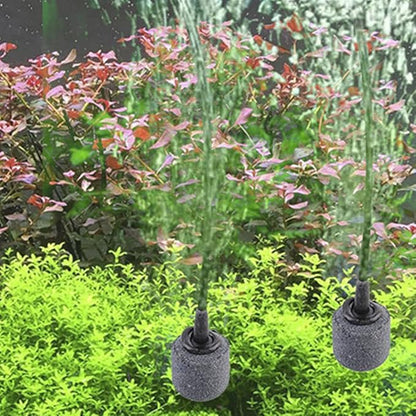 Air Stone Cylinder Bubble Diffuser Airstones for Aquarium 0.8/0.9inch Diffuser Release Tool for Nano Air Pumps Small Buckets and Fish Tanks