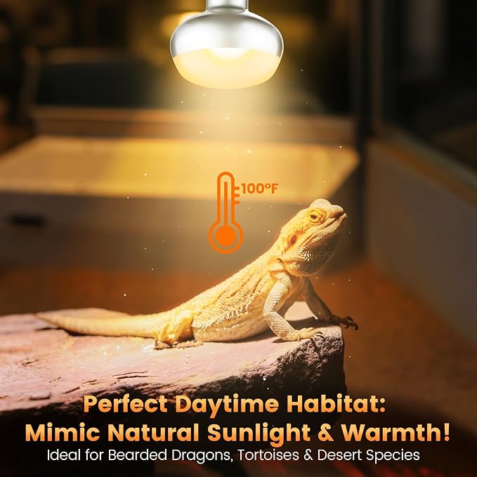 Dual Reptile Light Fixture with 100W Daytime Heat Bulb & 100W Nighttime Ceramic Heat Emitter, 2 Independent Switches, Reptile Heat Lamp Combo Pack - No UVB