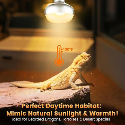 Dual Reptile Light Fixture with 100W Daytime Heat & UVB 10.0 Reptile Bulb, 2 Independent Switches, Reptile UVA UVB Light Combo Pack