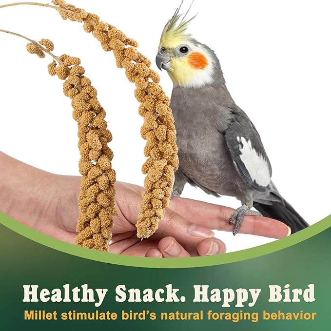 RANZ 5LBS Millet Spray for Birds, GMO-Free, Sun Dried Spray Millet, Original Bird Treats & Supplement for Parrots, Cockatiels, Lovebirds, Painted Buntings and Finches, Parakeets Food