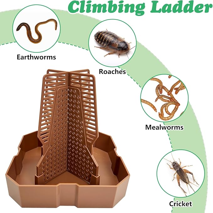 2 PCS Chameleon Feeding Bowl Hanging Bearded Dragon Feeder Bug Bowls with Rope and Tweezers Mounted Insect Reptile Feeder Box for Lizard Gecko Frog (Brown, Small)