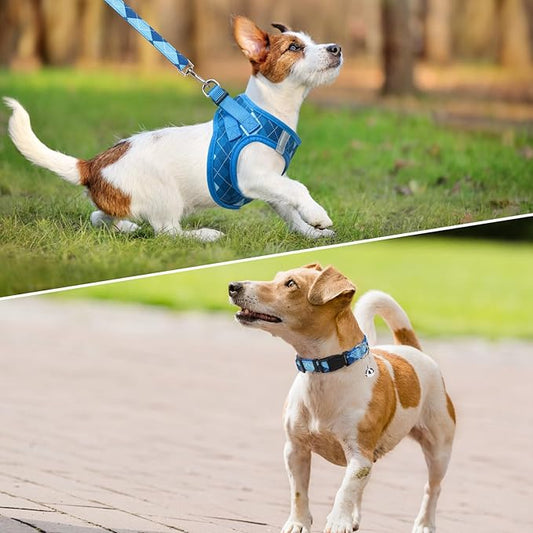 SCENEREAL Small Dog Harness and Leash Collar Set, Step in No Pull Soft Mesh Dog Harnesses for Small Medium Sized Dogs Puppy and Cats Outdoor Walking, No Chock Reflective Vest Harness, Blue Plaid XS