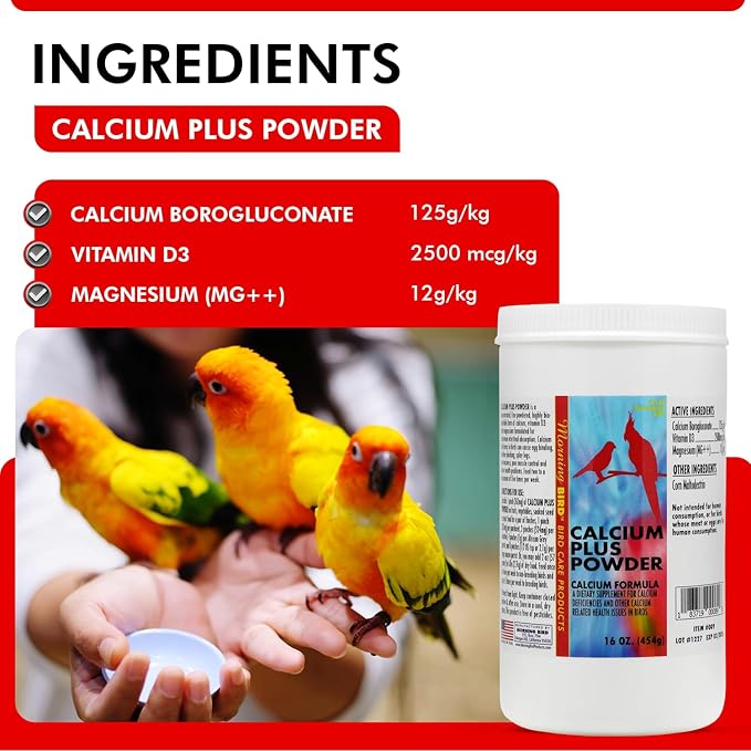 Morning Bird Calcium Plus Powder for Birds 16 oz – Calcium Carbonate Powder with Magnesium Glycinate & Vitamin D – Bone Strength & Immune Support Supplement – Calcium Formula for All Bird Sizes