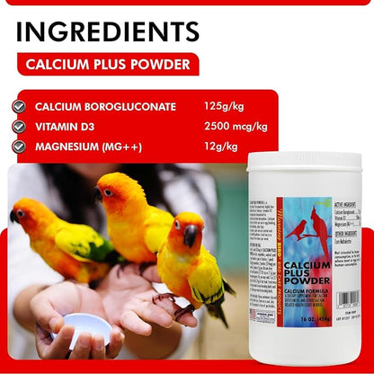 Morning Bird Calcium Plus Powder for Birds 16 oz – Calcium Carbonate Powder with Magnesium Glycinate & Vitamin D – Bone Strength & Immune Support Supplement – Calcium Formula for All Bird Sizes