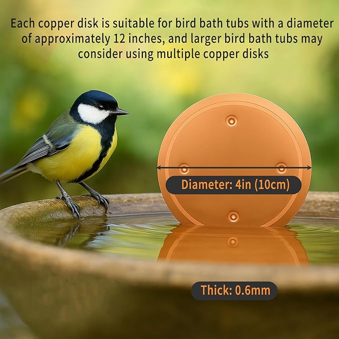 6 Pcs Bird Bath Copper Disk, 0.6mm Premium 99.99% Copper Insert with Raised Point, Fits Most Bird Baths for Indoor Outdoor Garden Backyard – 4” Diameter