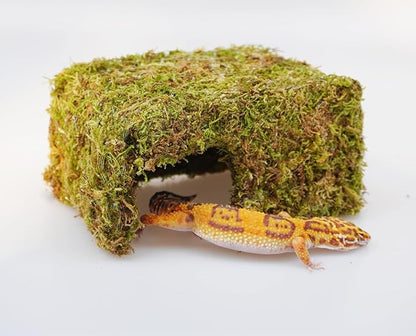 Leopard Gecko Tank Accessories, Cute Reptile Hideout Cave, Essential Tank Terrarium Habitat Decor, Adjustable Toys Supplies