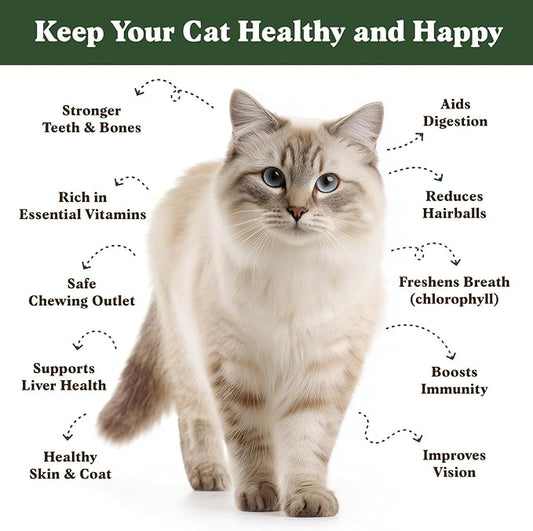 Seedboy Organic Cat Grass Seeds for Planting, Non-GMO Wheat, Oat, Rye, and Barley Pet Grass Seeds for Indoor Cats (8 oz)